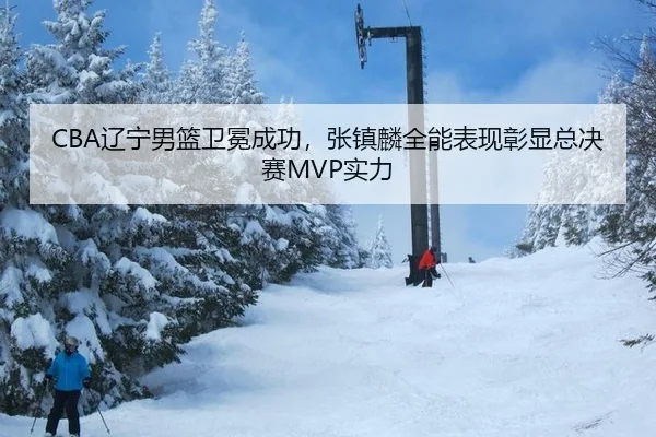 CBA辽宁男篮卫冕成功，张镇麟全能表现彰显总决赛MVP实力