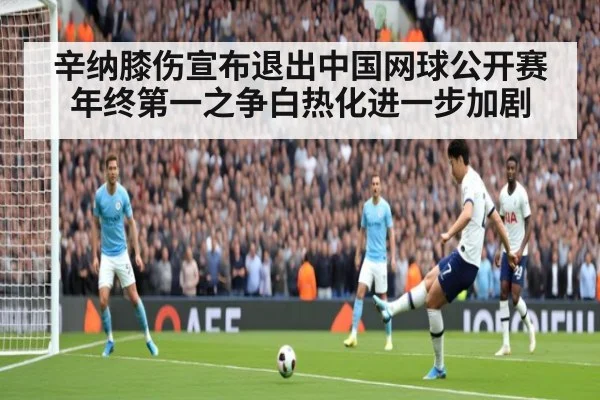 辛纳膝伤宣布退出中国网球公开赛年终第一之争白热化进一步加剧